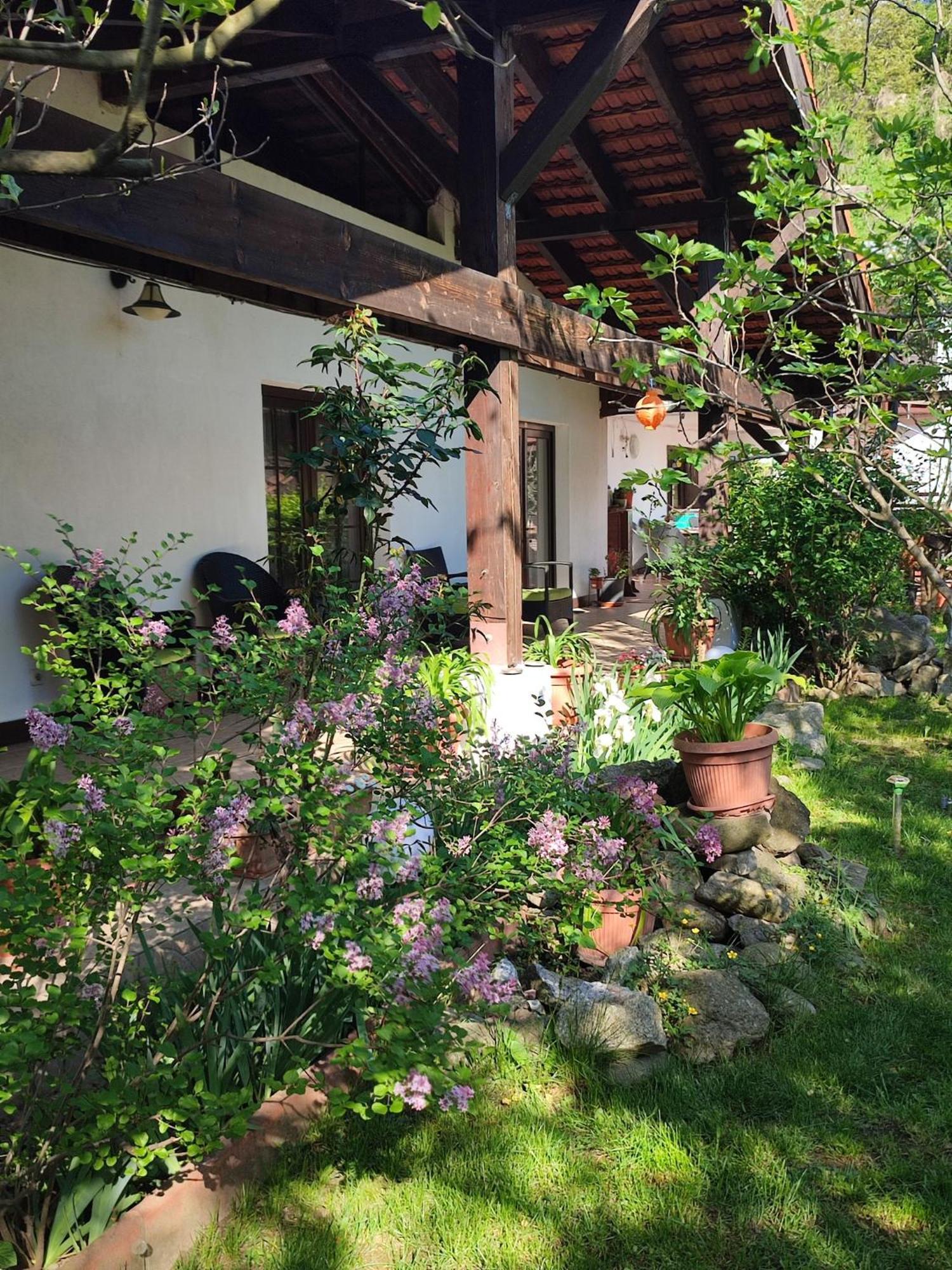 Pensiunea La Dolce Vita Baile Herculane Exterior photo