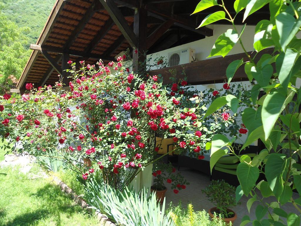 Pensiunea La Dolce Vita Baile Herculane Exterior photo